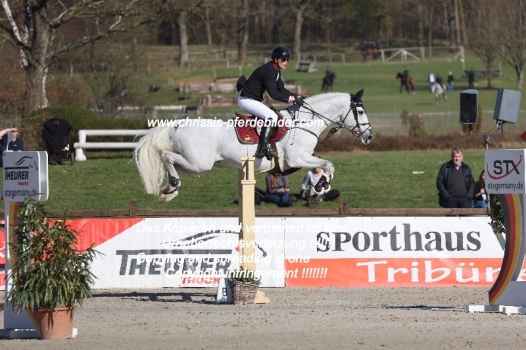 Preview harm lahde mit grey chester IMG_0619.jpg